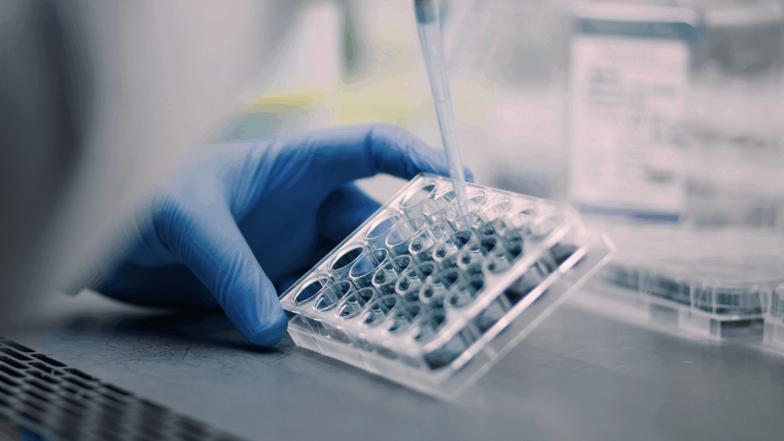 Close up of gloved hands in a biosafety cabinet pipetting liquid into a 24-well plate.