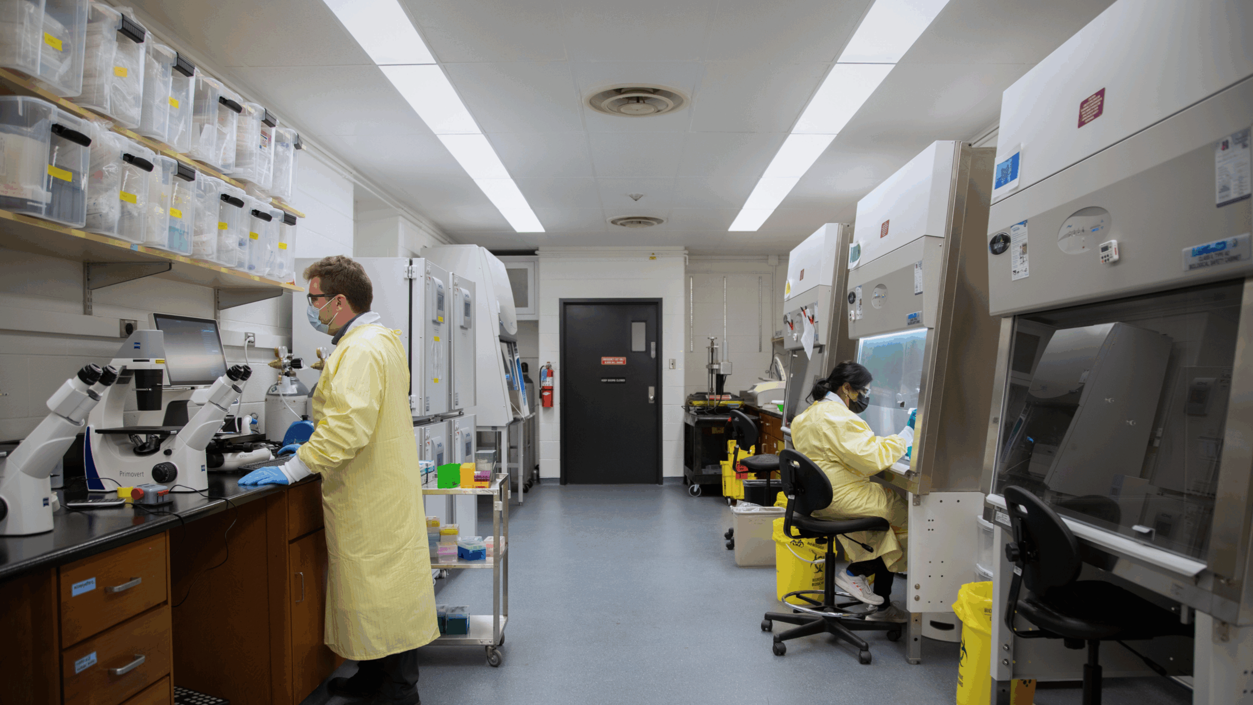 Two researchers in personal protective equipment in a laboratory. One seated at a biosafety cabinet and the other using a microscope.